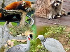 -西霞口神雕山野生动物世界