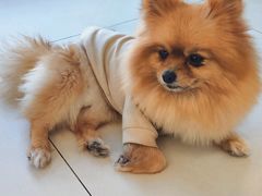 -怪兽屋·羊驼·猫咖·狗咖(俊华广场店)