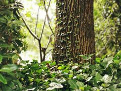 -南京东郊国宾馆