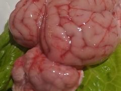 -二荆条·蜀鲜汇城市森林火锅