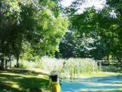 -长白岛森林公园