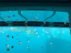 -亚龙湾海底世界