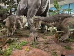 -湖南省地质博物馆