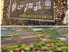 -香满楼(临安路店)