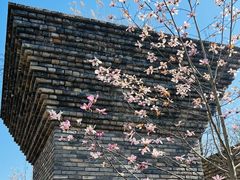 -广富林郊野公园