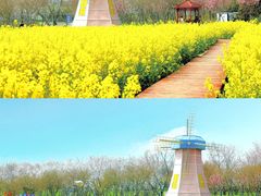 -武汉紫薇都市田园