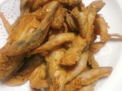 -燕郊烧鸽子(广安路店)