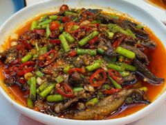 -洪霞餐馆·川菜·鲜货现炒(两江春城店)