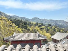 -翼松楼餐厅