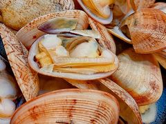 -海南人酒家·白切文昌鸡·二十三年老字号(水荫路店)