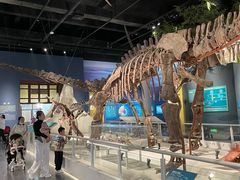 -国家自然博物馆