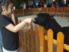 -华夏文旅海洋公园