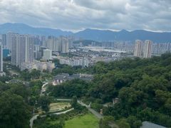 -金鸡山公园