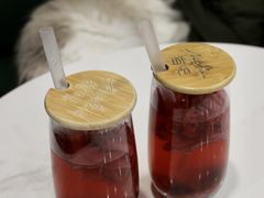 -安格丽娜·狗咖·猫咖羊驼咖(春熙路百盛商场店)