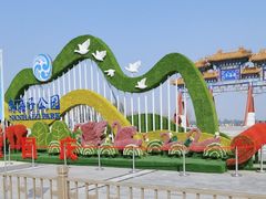 -南海子公园