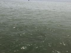 -东疆建设开发纪念公园