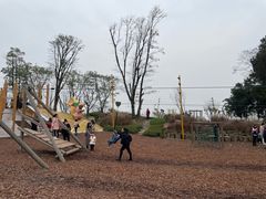 -铁山坪森林公园