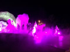 -清迈夜间动物园