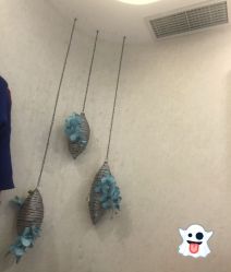 -健身堂科技美肌SPA