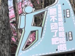 -帽儿山风景区