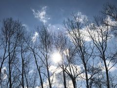 -亚布力新体委滑雪场