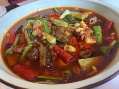 毛血旺-富乐山酒店(西黄城根北街店)