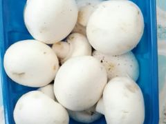 口蘑-金旭菜市场