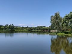 -东郊湿地公园