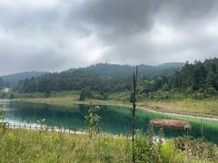 -武陵山森林公园