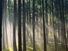 -玉苍山国家森林公园