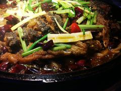 -老板恋上鱼(恒隆广场店)