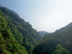 -花岩国家森林公园