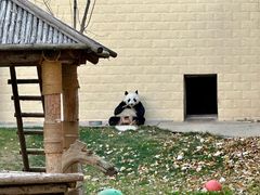 -石家庄市动物园