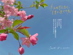 -阳澄湖半岛旅游度假区