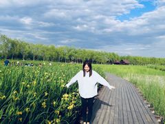 -永定河休闲森林公园