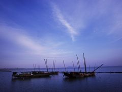 -贡湖湾湿地公园