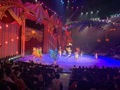 -珠海横琴长隆《卡卡虎奇遇记》