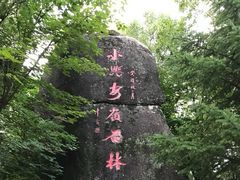 -汤旺河林海奇石景区