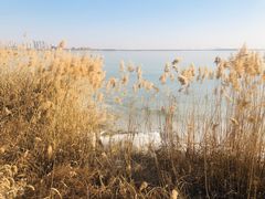 -天津东丽湖风景区