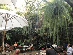 -Fern Forest Cafe