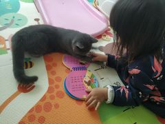 -lincat·猫舍(广州店)