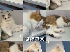 -昆山招商花园城