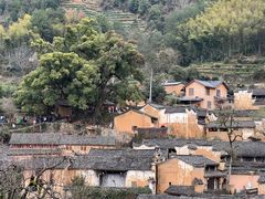 -杨家堂村