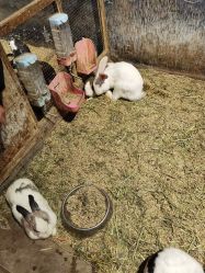 -酷嗒动物文化乐园(cutezoo西溪乐天城店)