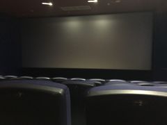 -环球时代影城(吉大店)