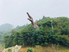 -梦幻奥陶纪景区