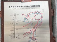 -铁山坪森林公园