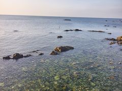 -养马岛旅游度假区