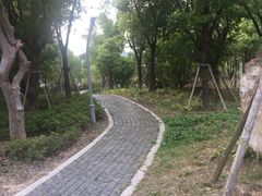 -白马涧龙池景区
