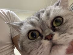 -盛兴面馆(真儒大厦店)